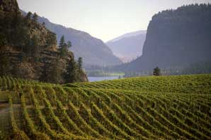 McIntyre Bluff-BC Wine Country-James O'Mara