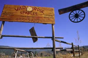Wild Rose Stables-BC Wine Country-James O'Mara