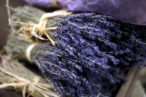 Lavander Sprigs-Provence-James O'Mara