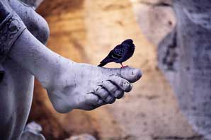 Capitoline Bird on Foot-Rome-James O'Mara